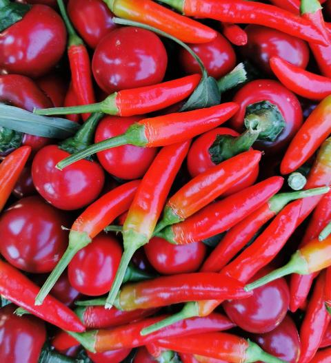 Olio aromatizzato al peperoncino
