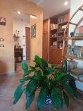 Appartamento in Vendita a Palermo Noce - Viale Regione - Holm