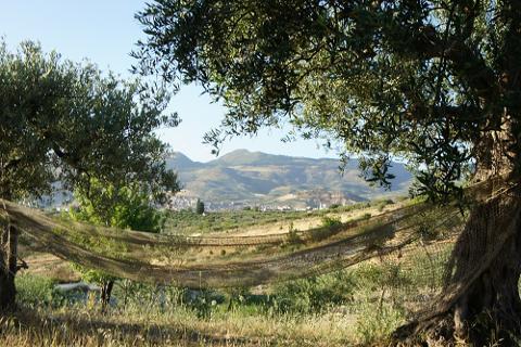 campagna al naturale, una vacanza diversa