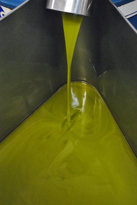 Olio di olive "BIANCOLILLA" DOP Val di Mazzara