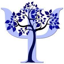 Psicologo Psicoterapeuta