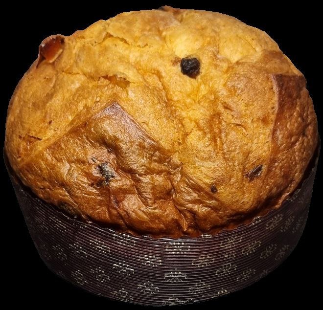 Panettone artigianale classico Biscottificio Santa Fortunata