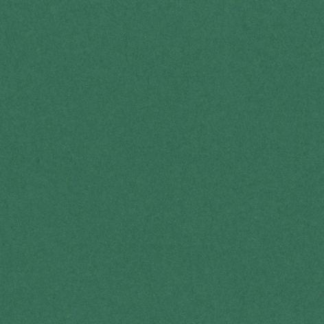 Confezione da 25 cartoncini bristol lisci 200g/mq colore VERDE VIVO Hamelin Canson