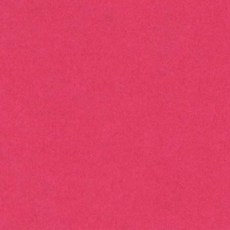 Confezione 50 fogli A4 VIVALDI 185gr colore FUCSIA (FUXIA) Hamelin Canson