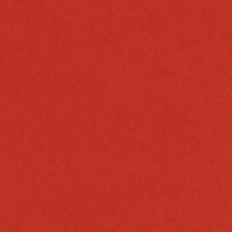 CONFEZIONE 50 FOGLI A4 VIVALDI 185GR COLORE ROSSO Hamelin Canson