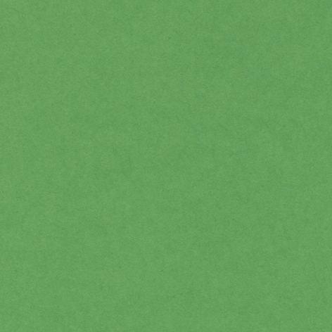 Confezione 50 fogli A4 VIVALDI 185gr colore VERDE BOTTIGLIA Hamelin Canson