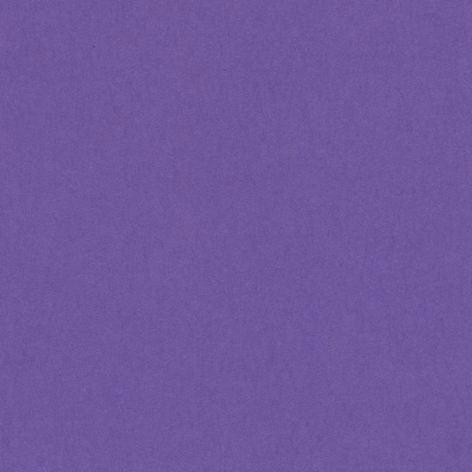 Confezione da 25 cartoncini monoruvidi (liscio da un lato e ruvido dall'altro) 220 gr/m2 formato 70 x 100 colore VIOLA Hamelin Canson
