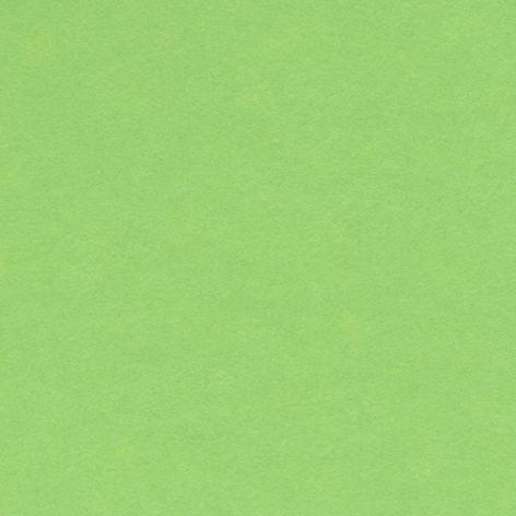 Confezione da 25 cartoncini monoruvidi (liscio da un lato e ruvido dall'altro) 220 gr/m2 formato 70 x 100 colore VERDE MELA Hamelin Canson