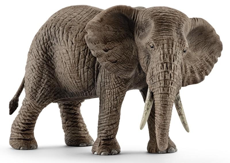 Femmina di elefante africano (WILD LIFE - Price unit p.) Schleich