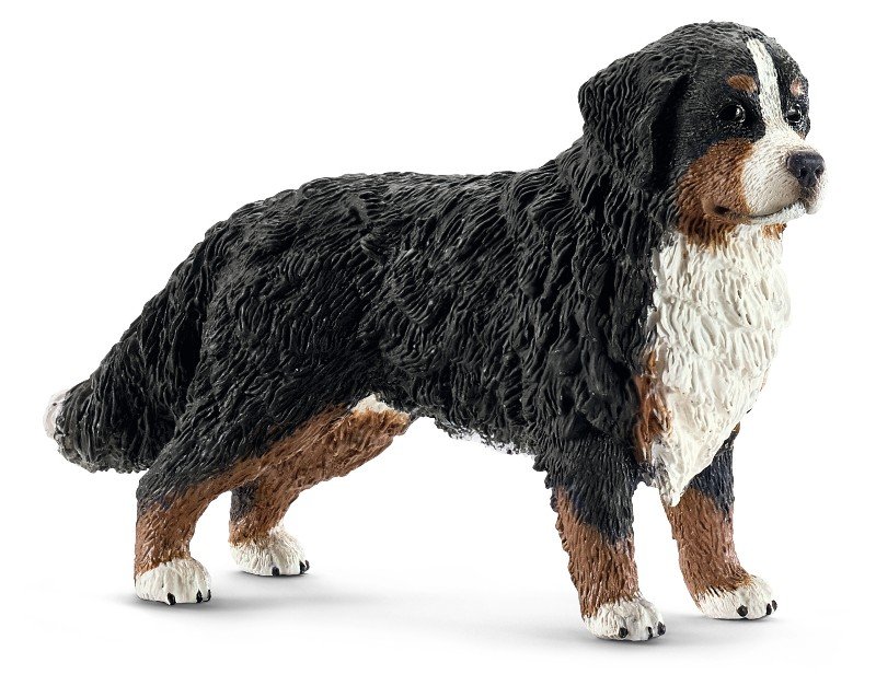 Bovaro bernese femmina (FARM WORLD - Price red) Schleich