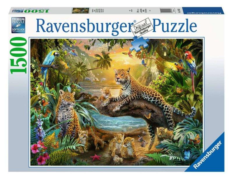 Puzzle 1500 pz Leopardi nella giungla ravensburger