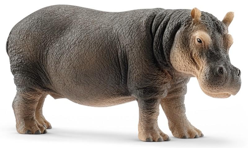 Ippopotamo (WILD LIFE - Price grey) Schleich