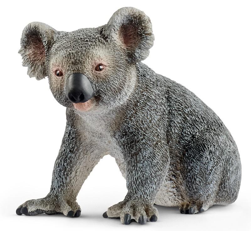 Koala (WILD LIFE - Price red) Schleich