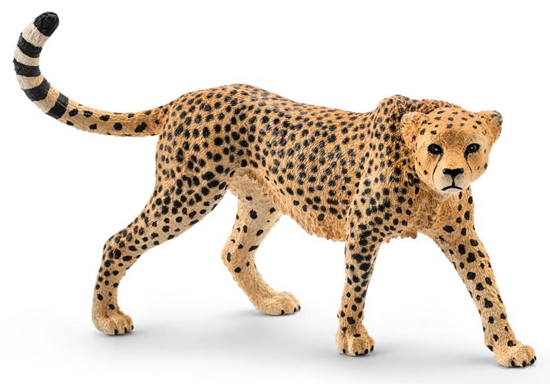 Femmina di ghepardo (WILD LIFE - Price yellow) Schleich