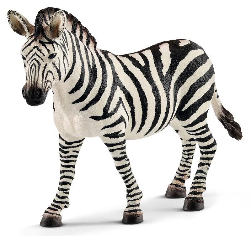 Giovane femmina di zebra (WILD LIFE - Price grey) Schleich