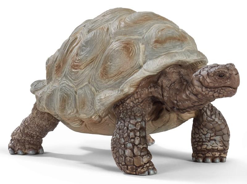 Tartaruga gigante (WILD LIFE - Price red) Schleich