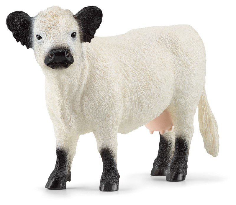 Mucca Galloway (FARM WORLD - Price grey) Schleich