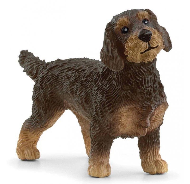 Bassotto a pelo ruvido (FARM WORLD - Price red) Schleich