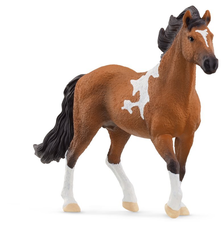 Stallone Mangalarga Marchador (HORSE CLUB - Price grey) Schleich