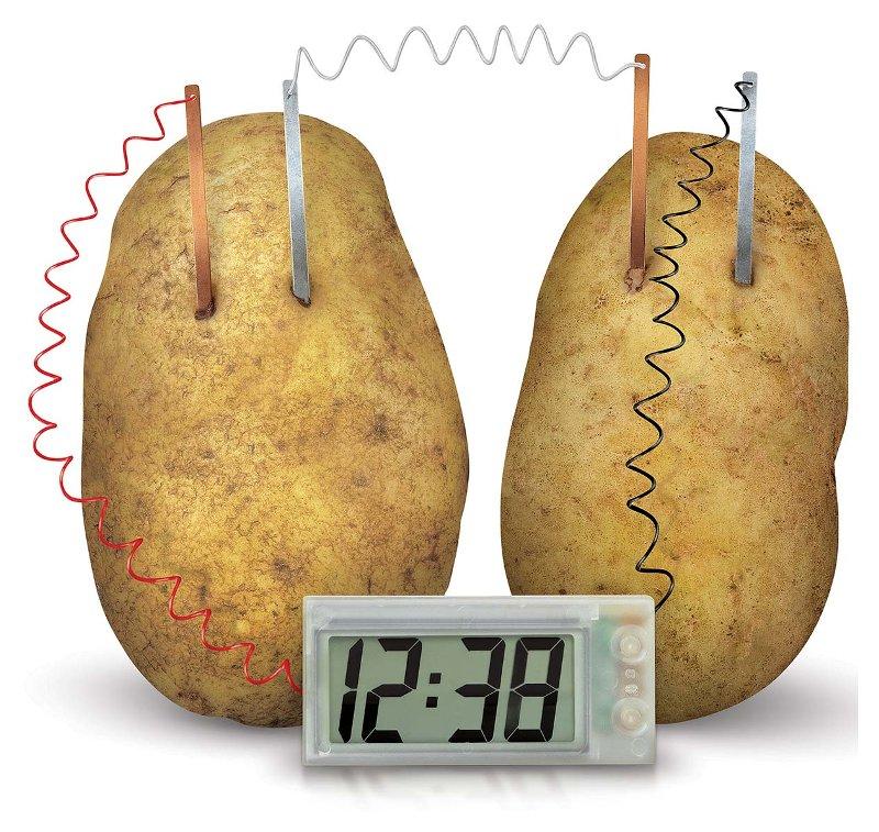 Green Science Eco-Orologio POTATO CLOCK 4M