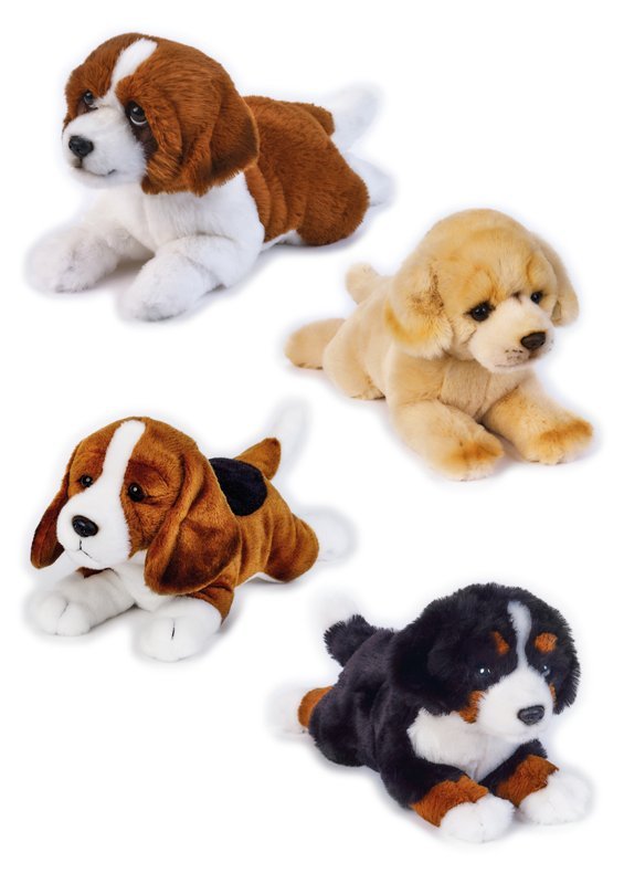 PETS DOGS STESI ASS. MY PUPPY venturelli