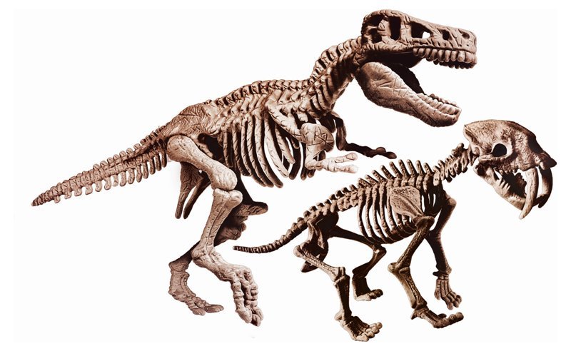 Archeogiocando -T-rex / Smilodon 2in1 clementoni