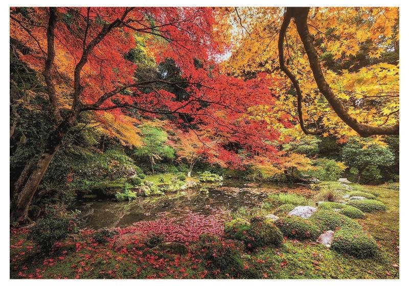 PUZZLE 1500 PZ Autumn Park clementoni