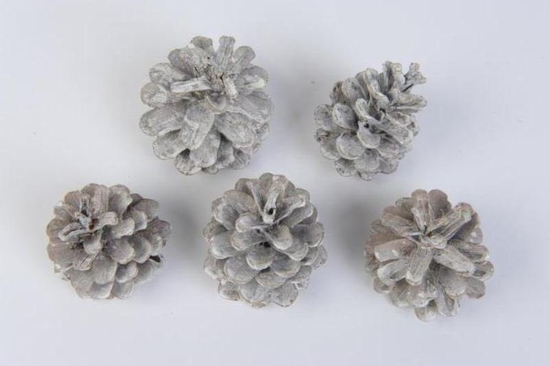 pine cone, Colour: white washed, Size: 15x15cm kaemingk
