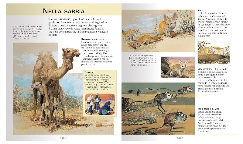LIBR.ENCICLOPEDIA ILLUSTRATA DEGLI ANIMALI (DAMI EDITORE) Giunti Editore S.P.A. (libretti per bambini)