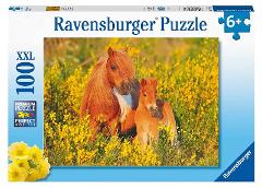 Puzzle 100 pz Pony Shetland ravensburger