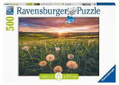 Puzzle 500 pz Denti di leone al tramonto Nature collection ravensburger