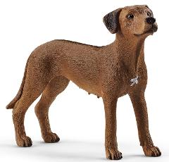 RHODESIAN RIDGEBACK (serie Farm World Fattoria - price red) Schleich