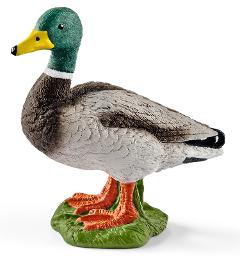 Anatra maschio (FARM WORLD - Price green) Schleich