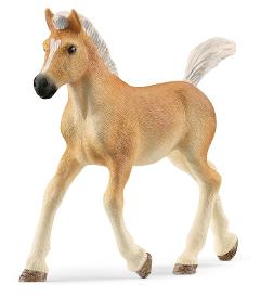 Puledro Avelignese (HORSE CLUB - Price red) Schleich