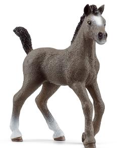 Puledro Cheval de Selle Francais (HORSE CLUB - Price red) Schleich