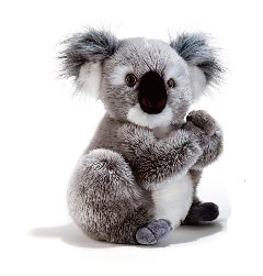 KOLINE' KOALA H. 22 CM. plush-company