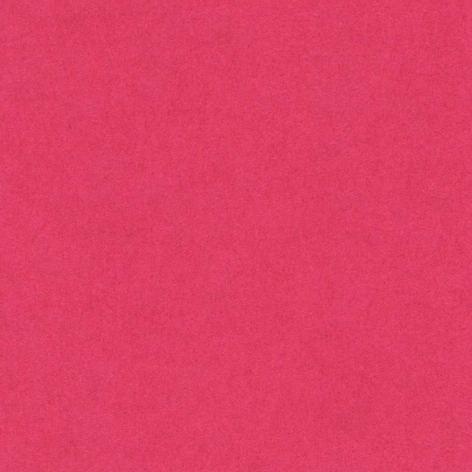 Confezione 50 fogli A4 VIVALDI 185gr colore FUCSIA (FUXIA) Hamelin Canson