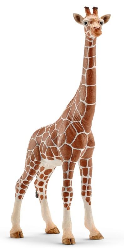 Femmina di giraffa (WILD LIFE - Price grey) Schleich