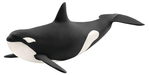 Orca (WILD LIFE) Schleich