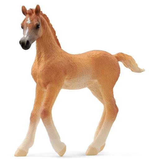 Puledro arabo (HORSE CLUB - Price red) Schleich