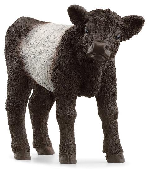 Vitello Galloway (FARM WORLD - Price red) Schleich