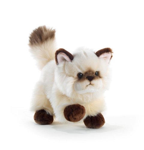 THAYTOO' GATTO COLOR POINT L.21 CM plush-company