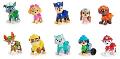 PAW PATROL All Paws Confezione Regalo da 10 personaggi spin-master