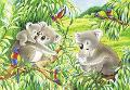 Puzzle 2x24 pz Dolci Koala e Panda ravensburger