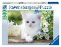 Puzzle 1500 pz Gattino Bianco ravensburger