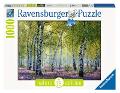 Puzzle 1000 pz Bosco di betulle ravensburger