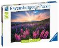 Puzzle 500 pz Lupini Nature Edition ravensburger