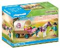 CARROZZA CON PONY playmobil