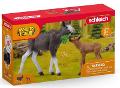 Femmina di alce con cucciolo (WILD LIFE - Price unit p.) Schleich