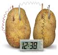 Green Science Eco-Orologio POTATO CLOCK 4M